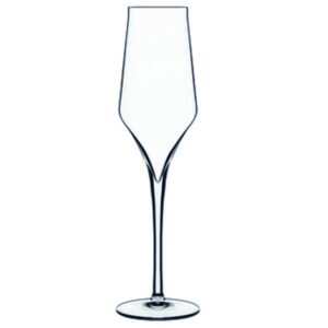 Champagne Glass Supremo, 8 Oz, 6 Units/Case